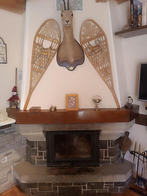 Pena Telera Petfriendly - Arafita Apartamentos El Pueyo de Jaca Extérieur photo